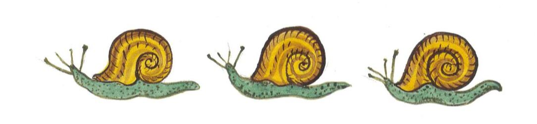 Three Snails Juliet Venter 2021