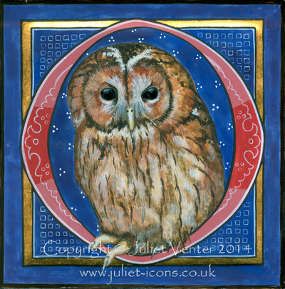 O for Owl Juliet Venter 2014