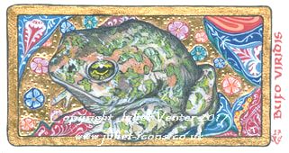 Tsujugahana Green Toad illumination vellum Juliet Venter 2017