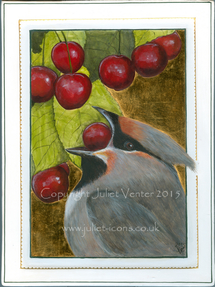 Cherry Picker waxwing painting Juliet Venter 2015