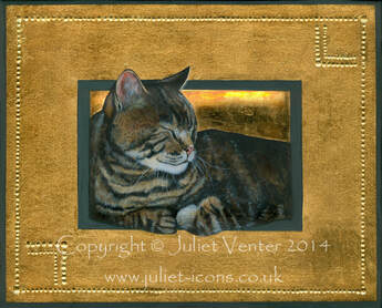 Cat painting Moggy sunbather Juliet Venter 2014