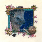 Night Garden Hedgehog Encounter Juliet Venter 2016