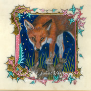 Night Garden Fox illumination Juliet Venter 2016