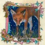 Night Garden Fox illumination Juliet Venter 2018