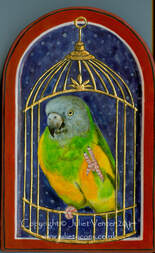 Parrot painting Juliet Venter 2012