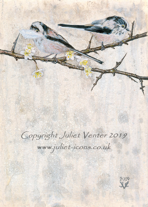 Painting of long-tailed tits Juliet Venter 2020