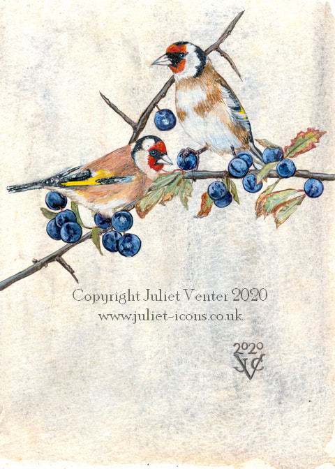 Painting of Goldfinches Juliet Venter 2020
